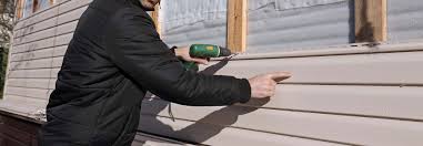 Best Vinyl Siding Installation  in Brookdale, CA